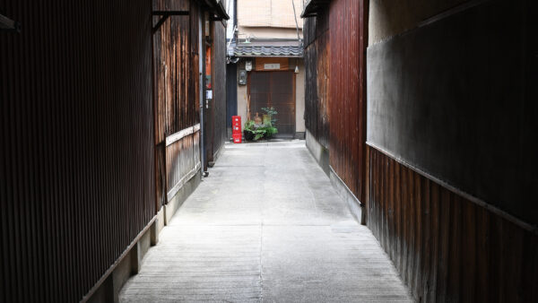 【東山日和】ふらりと歩く、春の古門前通